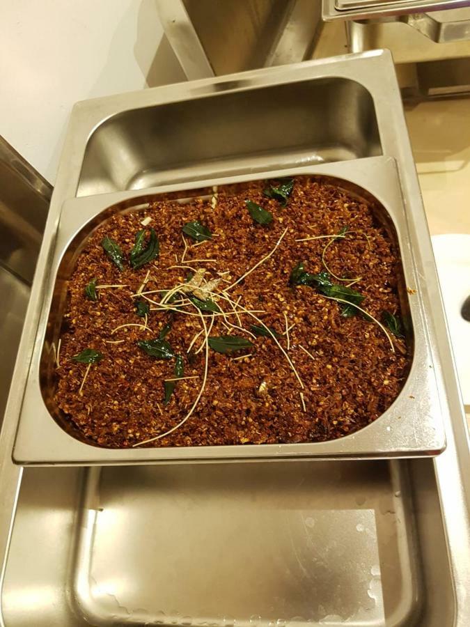 Hotel Serendib Hill 반다라웰라 외부 사진